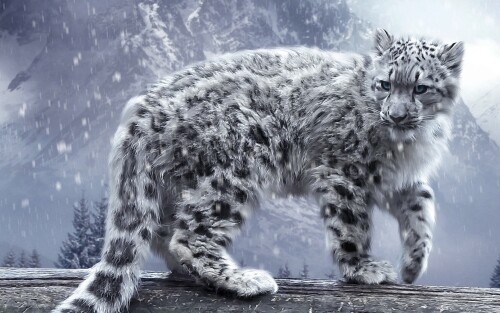 1133708-mac-os-x-snow-leopard-wallpaper-hd-1920x1200-ipad-pro.jpg